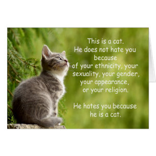 Chats