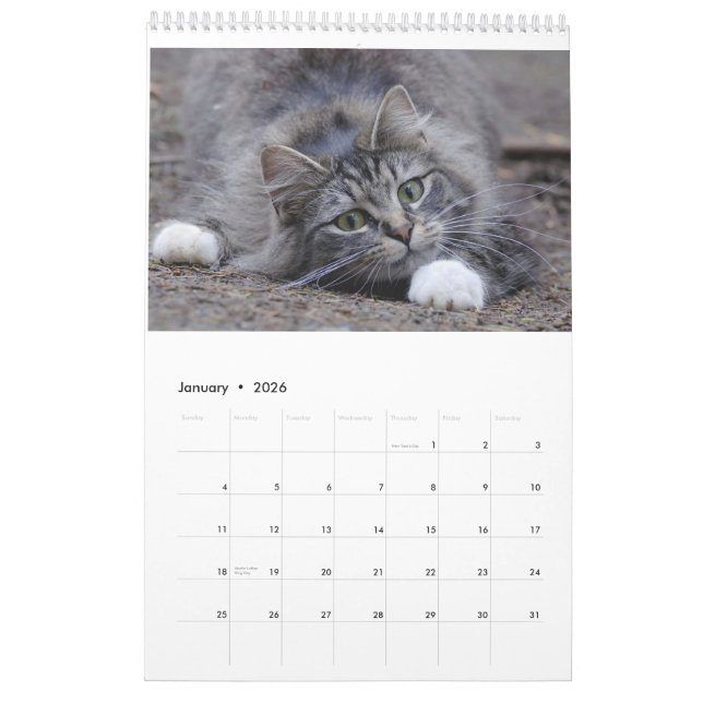 Chats 2014 - Un calendrier pour des amoureux de (Jan 2026)