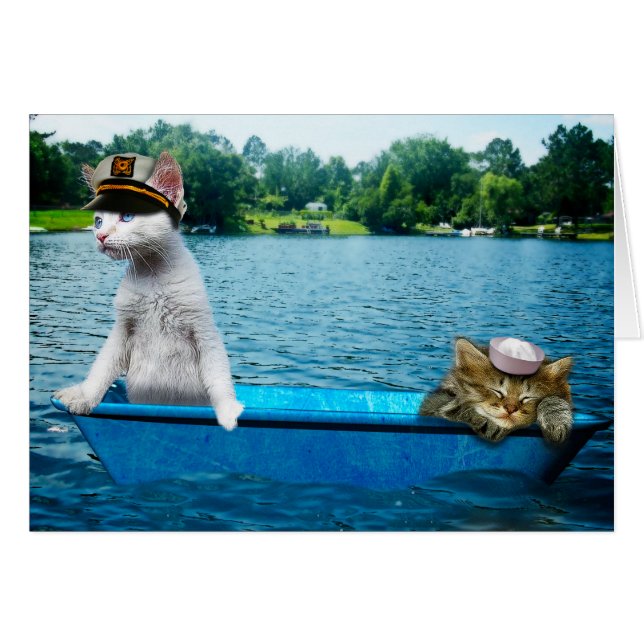 Chats à voile (Devant horizontal)