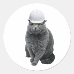chats avec autocollant rond classique casquette