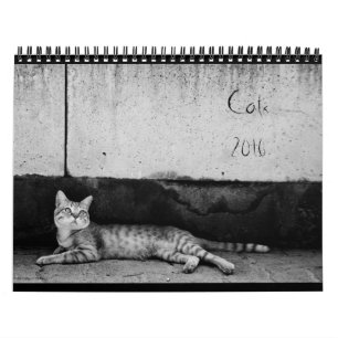 Chats - calendrier 2016