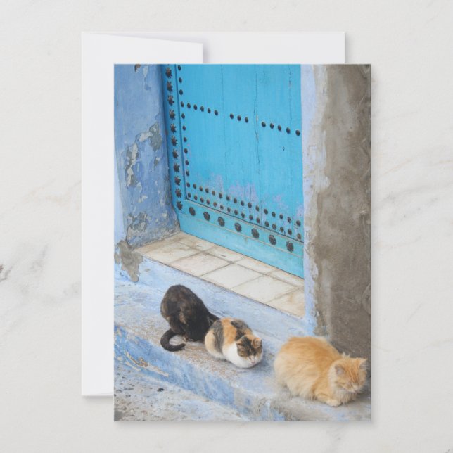 Chats, Chefchaouen, Carte Maroc (Devant)