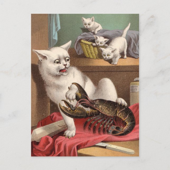 Chats coquins et carte postale de homard (Devant)