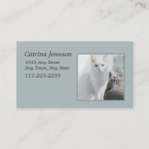 Chats dans le Carte de visite de fenêtre ensoleill