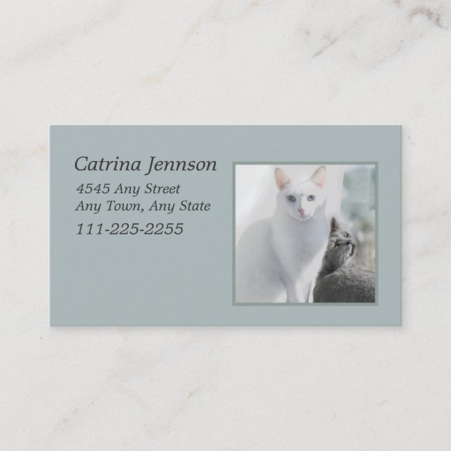Chats dans le Carte de visite de fenêtre ensoleill (Devant)