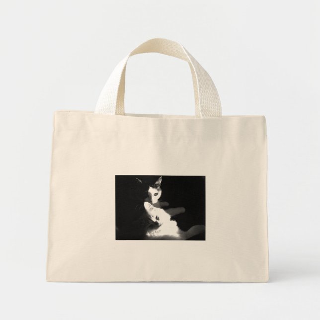 Chats dans le sac (Devant)