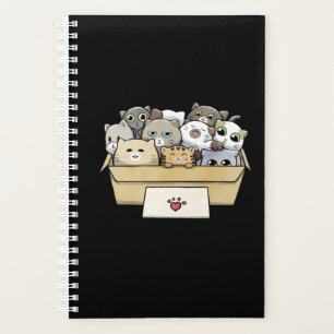 Chats Dans Une Boîte Chat Amoureux des chats Jour