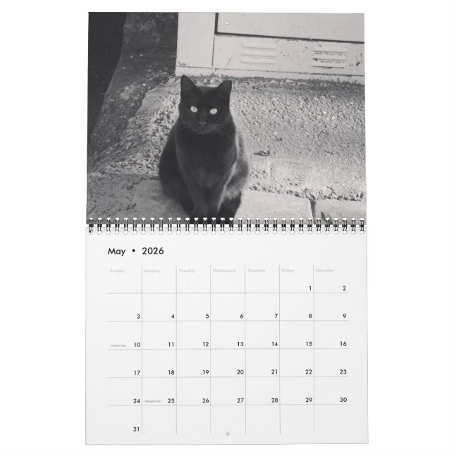 Chats du calendrier ISTANBUL (Mai 2026)