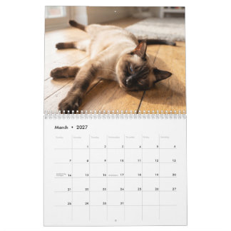 Chats endormis confortables | Calendrier de photos