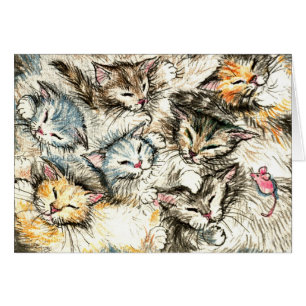 Chats et chatons mignons de sommeil