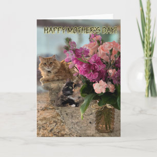 Chats et fleurs pour la carte de fête des mères
