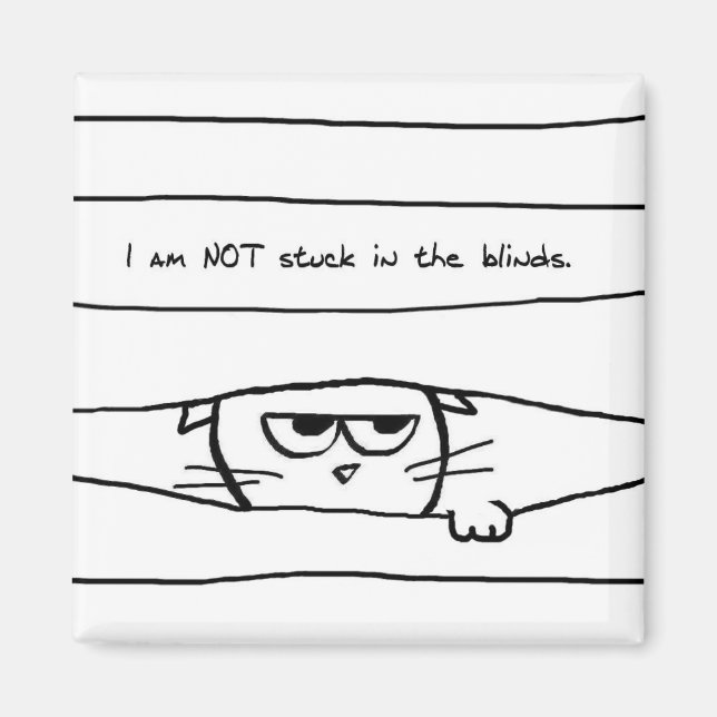 Chats et stores de fenêtre - Drôle Aimant Chat (Devant)