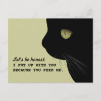 Chats Honest Attitude drôle Carte postale