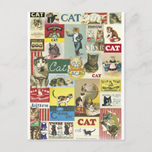 Chats-Kollage vintage Postkarte