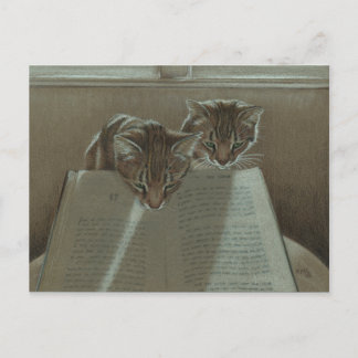 Chats m'aidant à lire la carte postale du livre