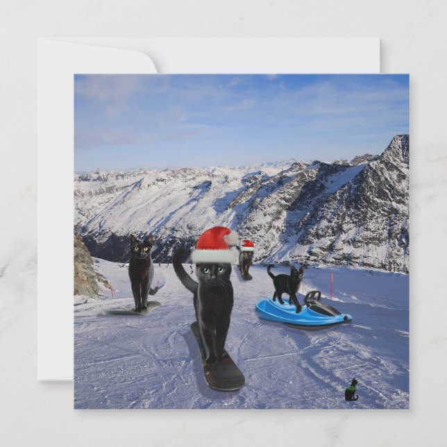 Chats noirs sur des snowboards pliés Carte de vœux (Devant)