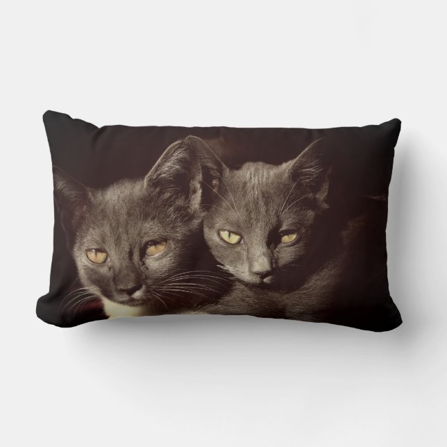 Chats Photo Lumbar Coussin 33 cm x 53 cm (Recto)