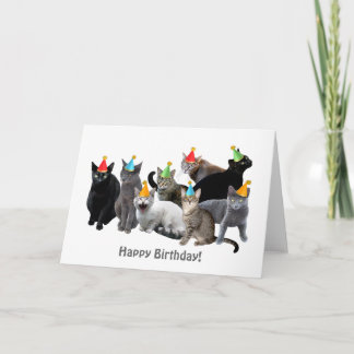 Chats Portant une Casquette de fête Carte d'annive