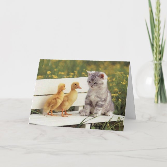 Chats précieux, Cartes de chatons, Cadeaux - Perso (Devant)