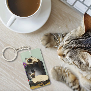 Chats siamois de bureau d'ordinateur farce drôle