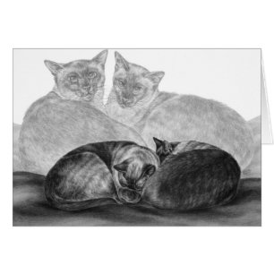 Chats siamois Dessin de Kelli Swan