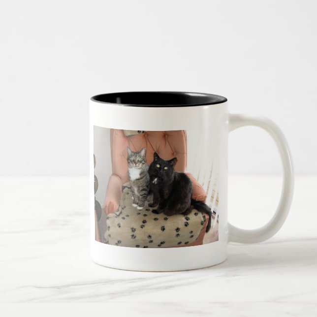Chats sur une tasse de chaise (Droit)