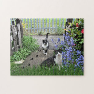 Chats Tuxedo Noir dans le Jardin Jigsaw Puzzle Puz