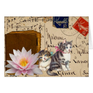 Chats vintages et livre