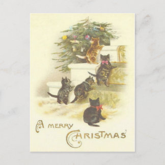 Chats vintages sur la carte postale de Joyeux Noël