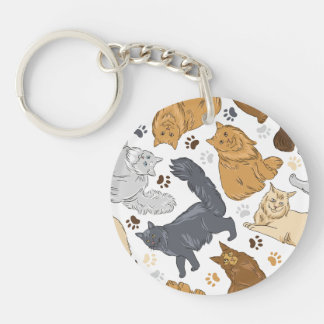 Chatte Motif à la maison, Maine Coon