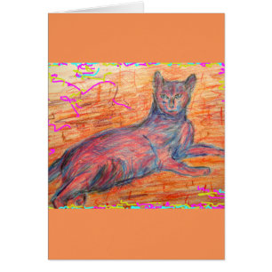 chatte pavé ensoleillé