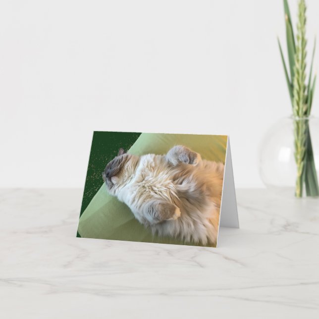 Chatte peluche endormie Carte de bon rétablissemen (Devant)