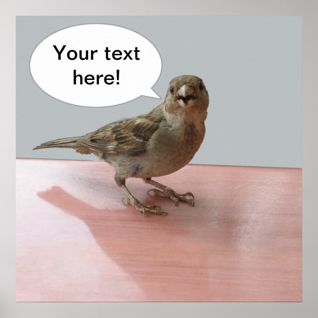 Chattering Sparrow Poster (Vorne)