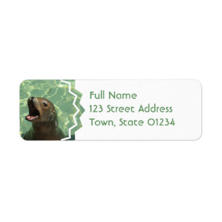 Chatty Sea Lion Rücksendeadresse Mailing Label