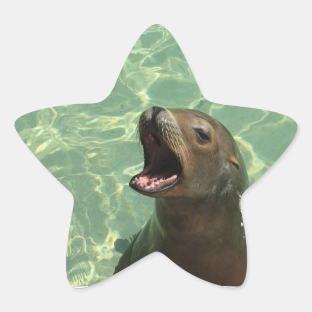 Chatty Sea Lion Sticker (Vorderseite)