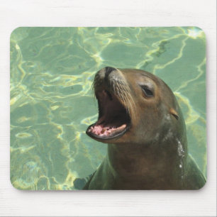 Chatty Seelöwe-Mausunterlage Mousepad