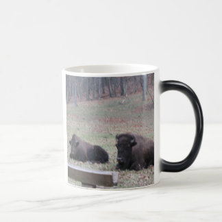 Chaud ou froid ? Tasse