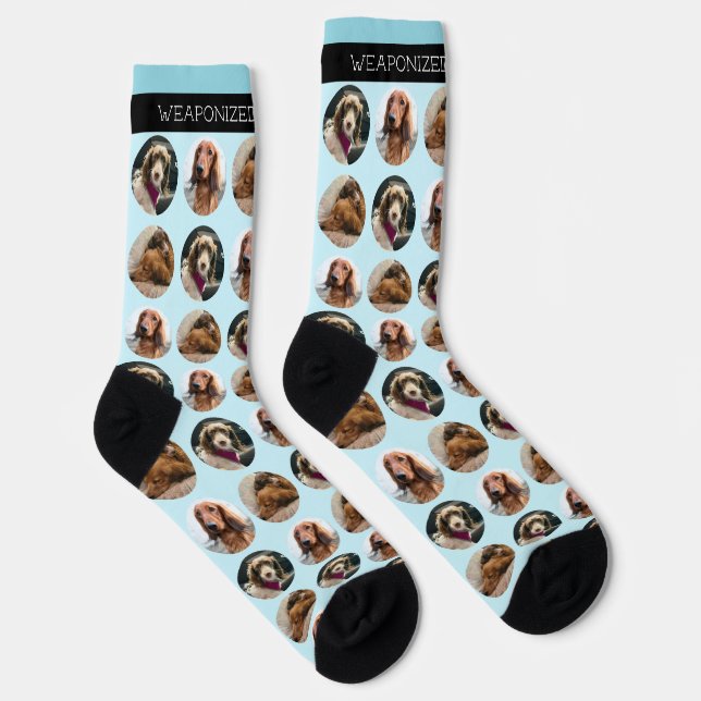 Chaussette 3 Chaussettes d'équipage Photo Dachshund (Droite)