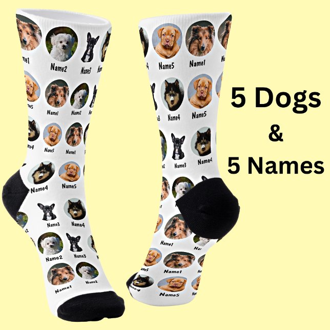 Chaussette 5 Chiens, 5 Noms, Photo Chien - Blanc Personnalisé (Créateur téléchargé)