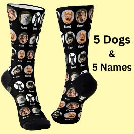 Chaussette 5 Chiens, 5 Noms, Photo Chien - Noir Personnalisé