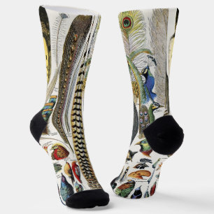 Chaussette Adolphe Millot Académie sombre Vintage plume d'ois