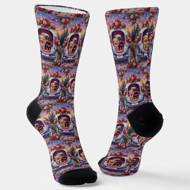 Chaussette Affenpinscher Dog Valentine's Day (Angulaire)