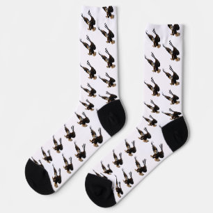 Chaussette Aigle Fondant Sur Sa Proie