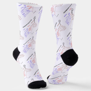 Chaussette Arbre Phylogénétique De La Vie Vous Êtes Ici