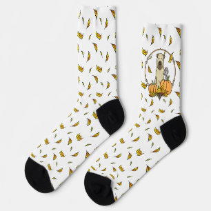 Chaussette Automne Roue Terrier (blé 1b2) Citrouille mignon