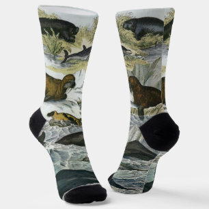 Chaussette Baleines, phoques et morses, animaux marins vintag