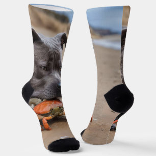 Chaussette "Beachside Pals : A Staffy and its Crab Companion"