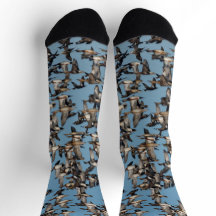 Beaux canards d'hiver en vol