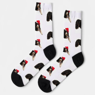 Chaussette Bernedoodle festif et mignon portant un chapeau de