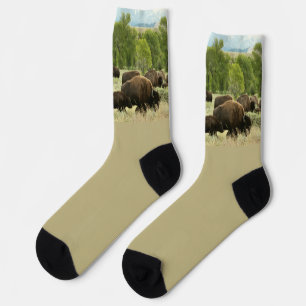 Chaussette Bison du Wyoming